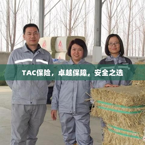 TAC保险,卓越保障,安心之选-图1 TAC保险,卓越保障,安心之选-图1