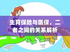 生育保险与医保的关系深度解析-图1 生育保险与医保的关系深度解析-图1