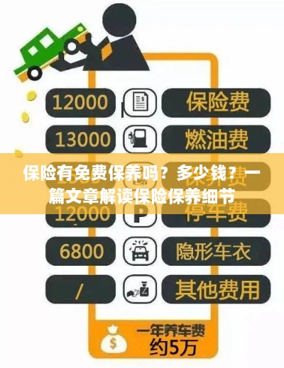 解读保险保养细节，免费保养政策与费用解析-图1