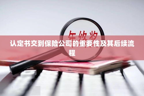 认定书对保险公司的重要性及后续流程详解-图1