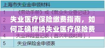 失业医疗保险缴费详解，如何正确缴纳费用指南-图1