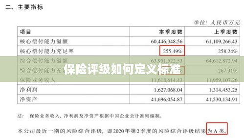 保险评级标准定义解析-图1 保险评级标准定义解析-图1