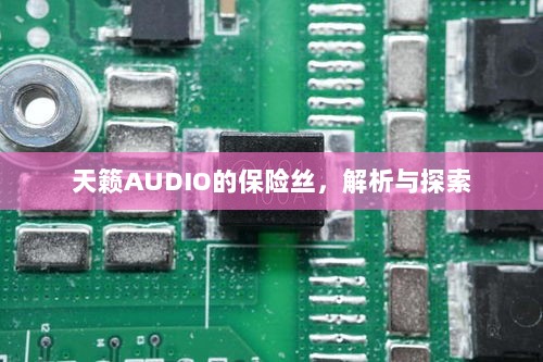 天籁AUDIO保险丝解析与探索-图1