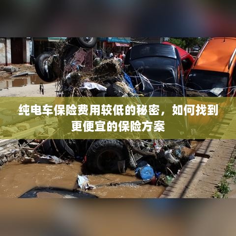 纯电车保险费用较低的秘密揭秘,如何找到更便宜的保险方案?-图1 纯电车保险费用较低的秘密揭秘,如何找到更便宜的保险方案?-图1