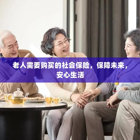 老人社会保险，保障未来，安心生活-图1
