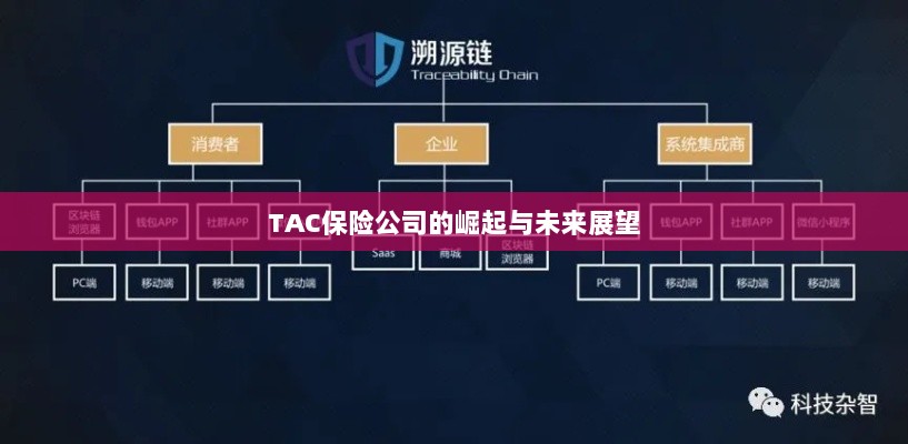 TAC保险公司的崛起及未来展望-图1 TAC保险公司的崛起及未来展望-图1