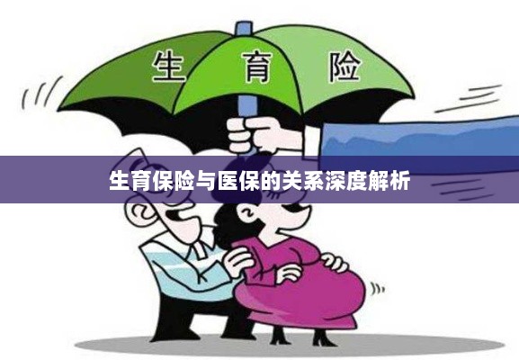 生育保险与医保关系的深度探讨-图1 生育保险与医保关系的深度探讨-图1