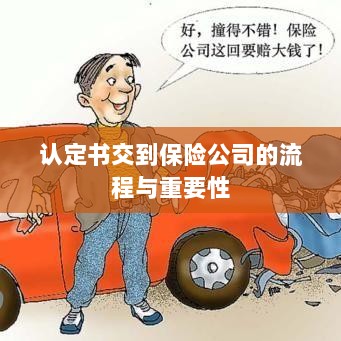 认定书交到保险公司的流程及其重要性概述-图1 认定书交到保险公司的流程及其重要性概述-图1