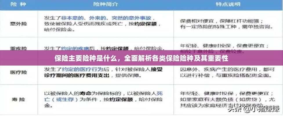全面解析保险主要险种及其重要性介绍-图1 全面解析保险主要险种及其重要性介绍-图1