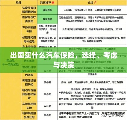 出国购车保险指南，选择、考虑与决策要素-图1