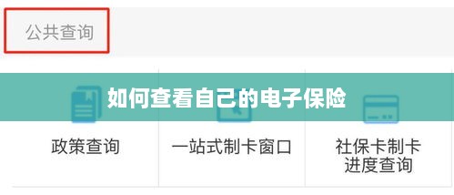 如何查看个人电子保险保单详情-图1 如何查看个人电子保险保单详情-图1