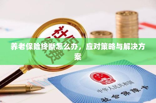 养老保险中断应对指南，解决方案与策略-图1