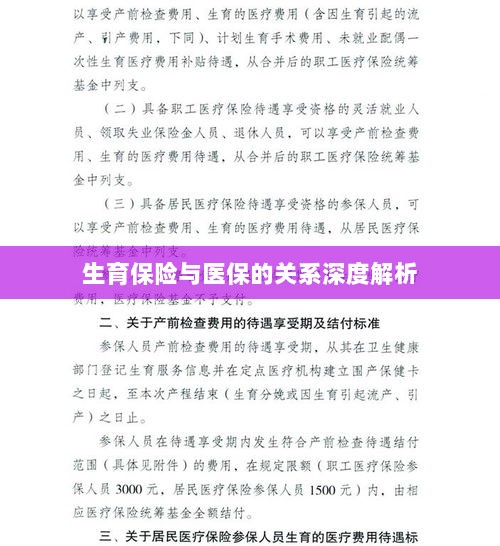 生育保险与医保关系的深度探讨-图1