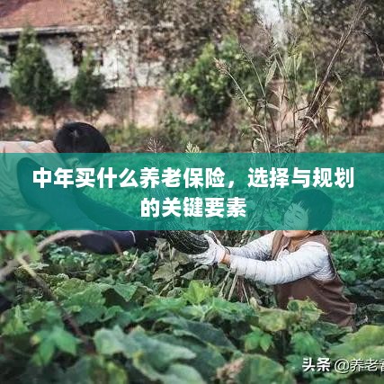 中年养老保险选择与规划的关键要素解析-图1
