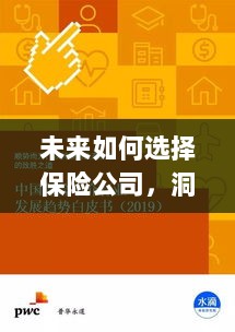 未来如何选择保险公司，策略洞察与明智决策-图1
