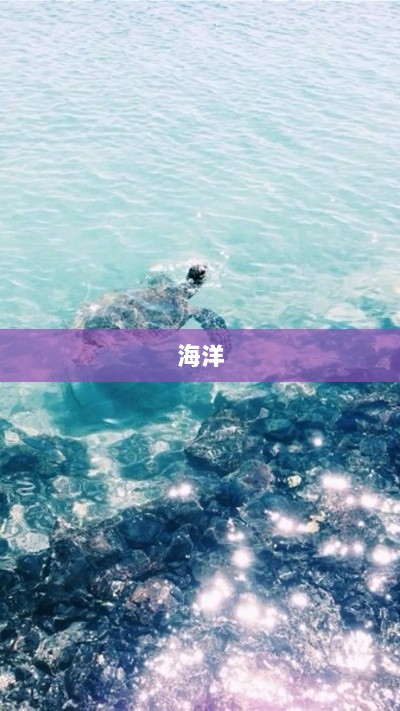 市场强势上扬,超20只基金涨幅达4%!医药主题产品却表现疲软领跌市场-图1 市场强势上扬,超20只基金涨幅达4%!医药主题产品却表现疲软领跌市场-图1