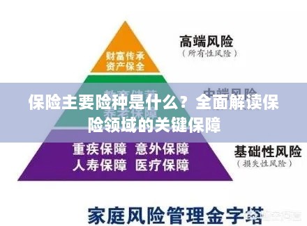 全面解读保险领域的关键保障,主要险种介绍与保障内容分析-图1 全面解读保险领域的关键保障,主要险种介绍与保障内容分析-图1