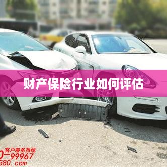 财产保险行业评估方法与策略解析-图1