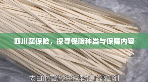 四川保险探秘,种类与保障内容全解析-图1 四川保险探秘,种类与保障内容全解析-图1