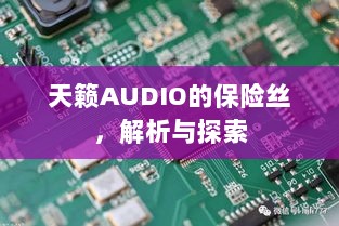 天籁AUDIO保险丝解析与探索-图1