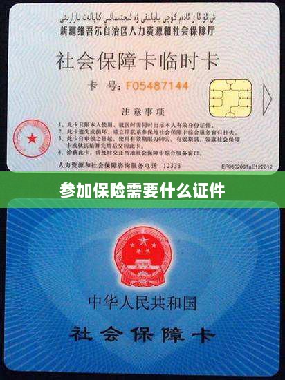 参加保险所需证件概览-图1