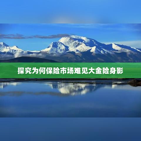 大金险在保险市场难觅踪迹的探究-图1 大金险在保险市场难觅踪迹的探究-图1