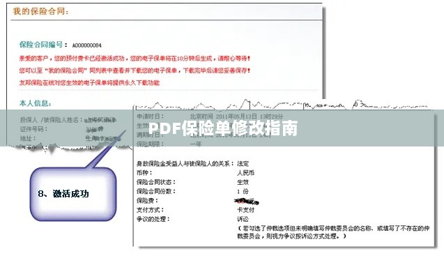 PDF保险单修改指南详解-图1