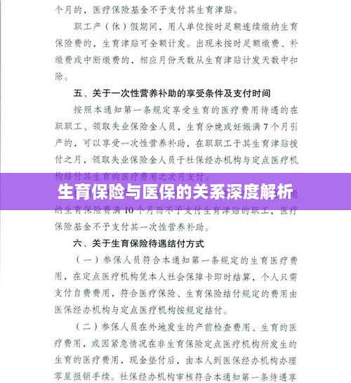 生育保险与医保关系的深度探讨-图1 生育保险与医保关系的深度探讨-图1