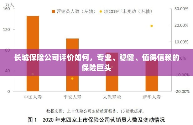 长城保险公司，专业、稳健、值得信赖的保险行业巨头评价-图1