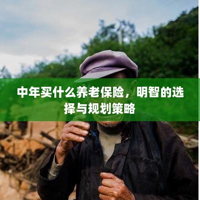 中年明智之选，养老保险的规划与策略-图1