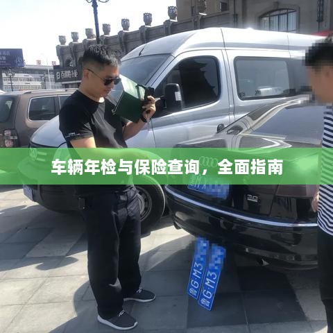 车辆年检与保险查询，全面指南解析-图1