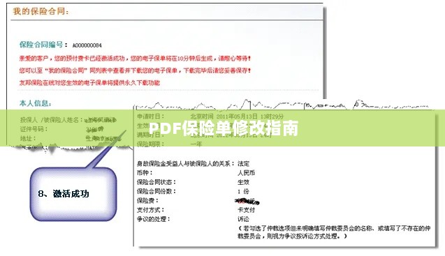 PDF保险单修改指南详解-图1 PDF保险单修改指南详解-图1