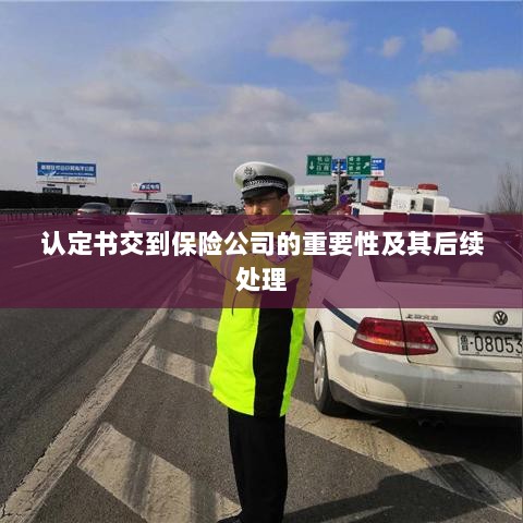 认定书交到保险公司的重要性及后续处理流程详解-图1