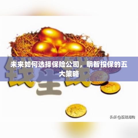 未来如何选择保险公司，五大明智投保策略指南-图1