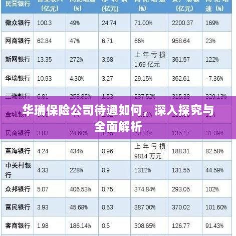 华瑞保险公司待遇深度探究与全面解析-图1