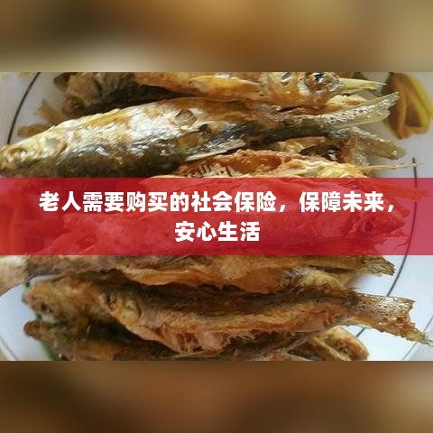 老人社会保险,保障未来,安心生活-图1 老人社会保险,保障未来,安心生活-图1