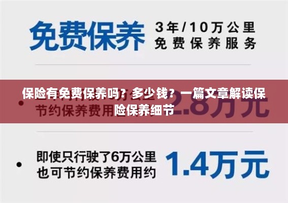 解读保险保养细节，免费保养政策与费用解析-图1