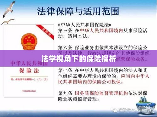 法学视角下的保险研究探析-图1