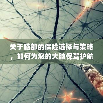 如何选择合适的脑部保险,为您的大脑保驾护航?-图1 如何选择合适的脑部保险,为您的大脑保驾护航?-图1