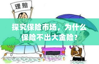 探究保险市场，为何缺乏大额保险金险种？-图1