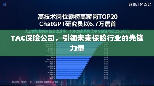 TAC保险公司，领航未来保险行业，成为先锋典范-图1