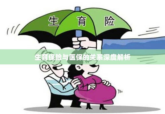 生育保险与医保关系的深度探讨-图1