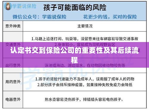 认定书对保险公司的重要性及后续流程详解-图1
