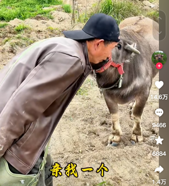 网红之路，口才与牢狱经历的不同造就之路-图20