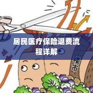 居民医疗保险退费流程全面解析-图1 居民医疗保险退费流程全面解析-图1