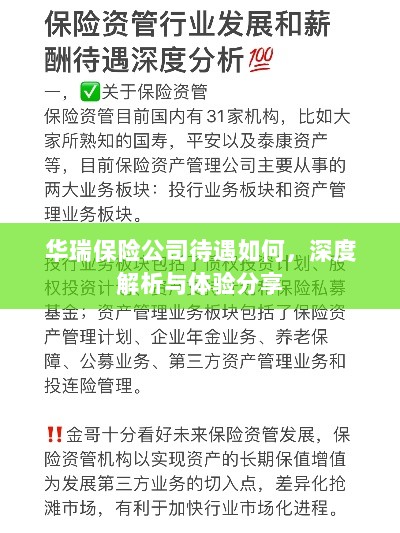 华瑞保险公司待遇深度解析与体验分享-图1