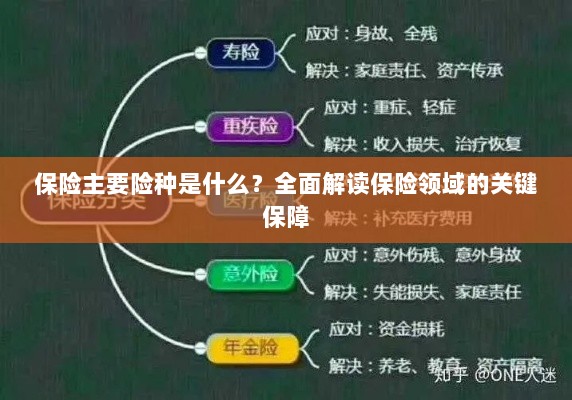 全面解读保险领域的关键保障，主要险种介绍与保障内容分析-图1