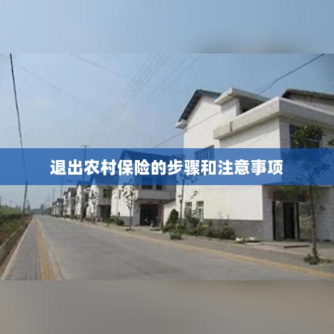 退出农村保险的步骤及注意事项详解-图1
