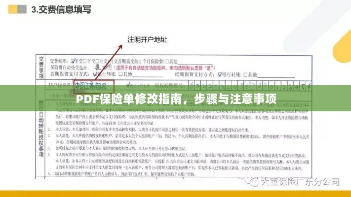 PDF保险单修改指南，步骤详解与注意事项-图1