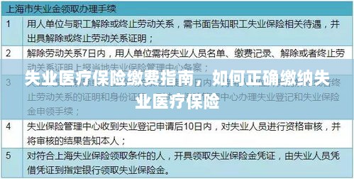 失业医疗保险缴费详解,正确缴纳失业医疗保险的步骤与指南-图1 失业医疗保险缴费详解,正确缴纳失业医疗保险的步骤与指南-图1